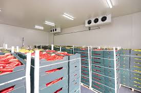 Chilled Storage: Precision Temperature-Controlled Warehousing for Perishable Goods in Saudi Arabia